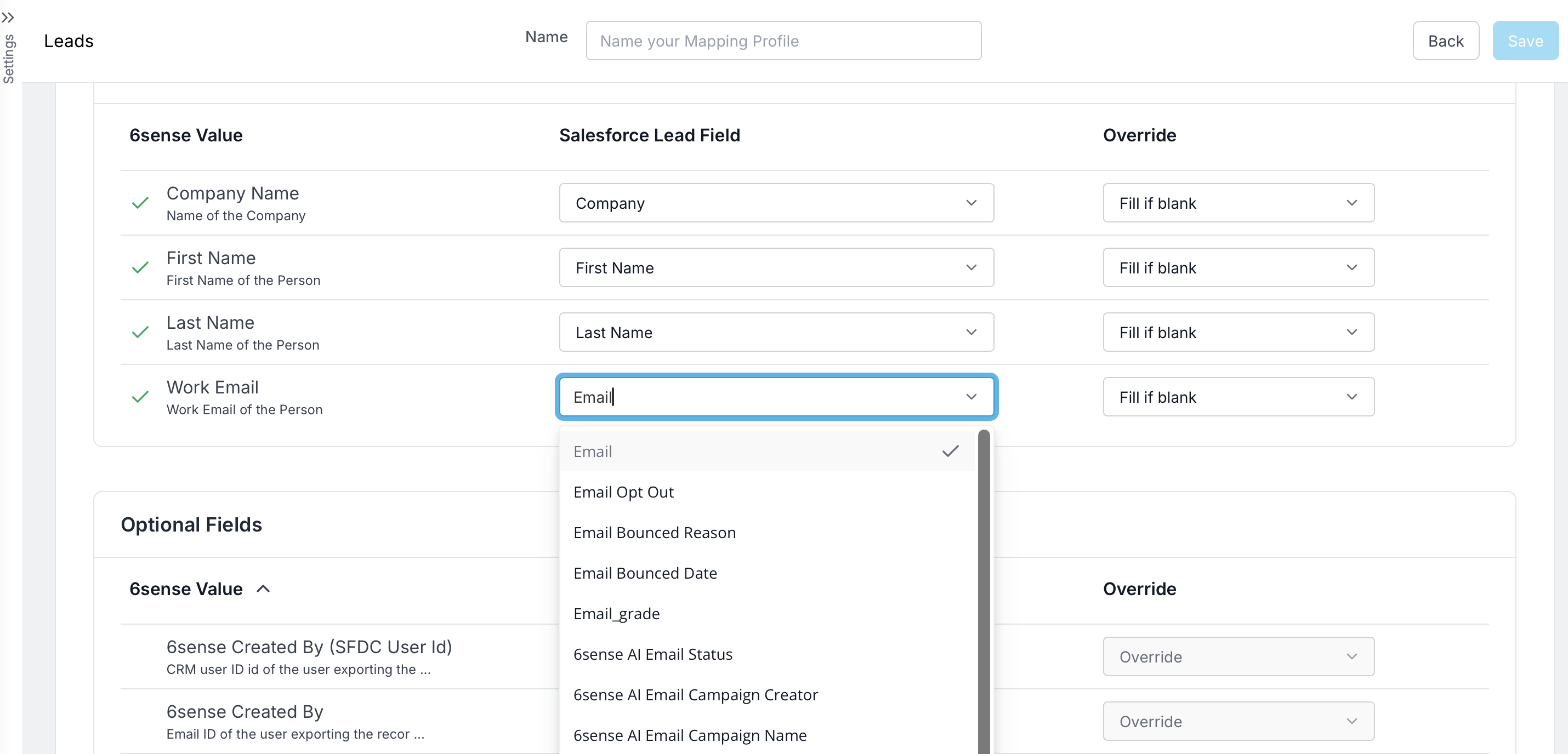 Mapping profile settings for Salesforce lead fields including email and personal details.